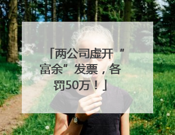 两公司虚开“富余”发票，各罚50万！