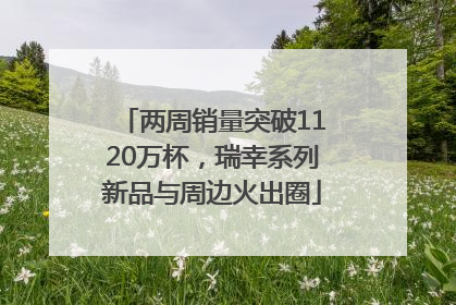 两周销量突破1120万杯，瑞幸系列新品与周边火出圈