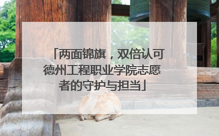 两面锦旗，双倍认可德州工程职业学院志愿者的守护与担当