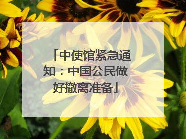中使馆紧急通知：中国公民做好撤离准备