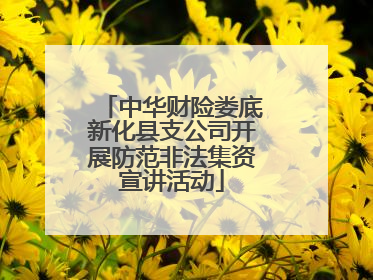 中华财险娄底新化县支公司开展防范非法集资宣讲活动