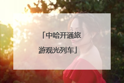 中哈开通旅游观光列车