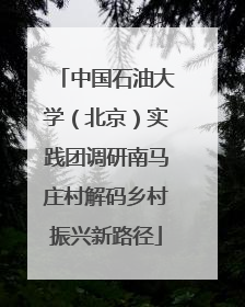 中国石油大学（北京）实践团调研南马庄村解码乡村振兴新路径