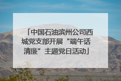 中国石油滨州公司西城党支部开展“端午话清廉”主题党日活动