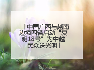 中国广西与越南边境四省启动“复明18号”为中越民众送光明