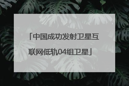 中国成功发射卫星互联网低轨04组卫星