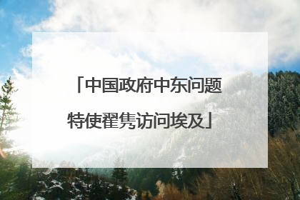 中国政府中东问题特使翟隽访问埃及
