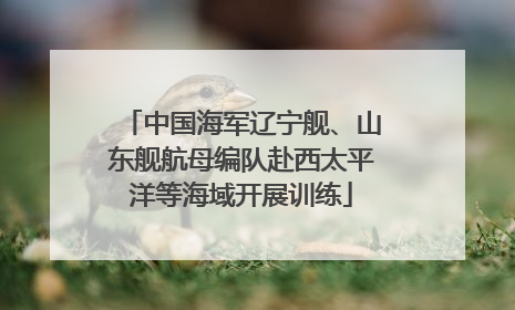 中国海军辽宁舰、山东舰航母编队赴西太平洋等海域开展训练