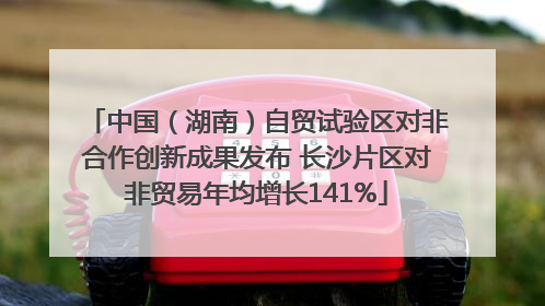 中国（湖南）自贸试验区对非合作创新成果发布 长沙片区对非贸易年均增长141%