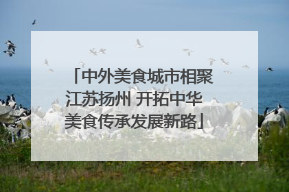 中外美食城市相聚江苏扬州 开拓中华美食传承发展新路