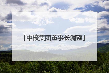 中核集团董事长调整