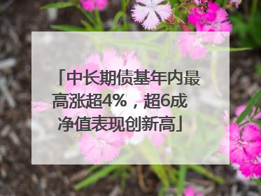中长期债基年内最高涨超4%，超6成净值表现创新高