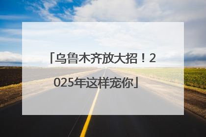 乌鲁木齐放大招！2025年这样宠你