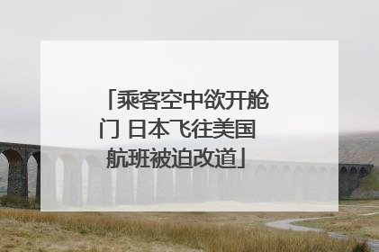 乘客空中欲开舱门 日本飞往美国航班被迫改道