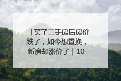 买了二手房后房价跌了，如今想置换，新房却涨价了｜100个买房故事