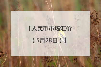人民币市场汇价（5月28日）