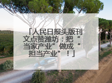 人民日报头版刊文点赞潍坊：把“当家产业”做成“担当产业”！