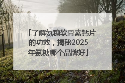 了解氨糖软骨素钙片的功效，揭秘2025年氨糖哪个品牌好