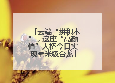 云端“拼积木”，这座“高颜值”大桥今日实现毫米级合龙