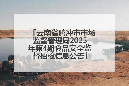 云南省腾冲市市场监督管理局2025年第4期食品安全监督抽检信息公告