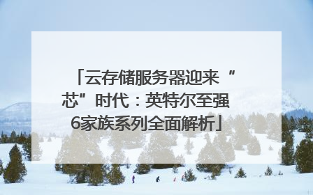 云存储服务器迎来“芯”时代：英特尔至强6家族系列全面解析