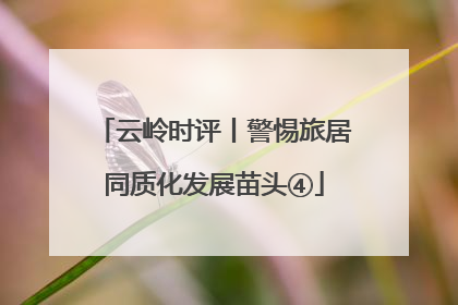 云岭时评丨警惕旅居同质化发展苗头④