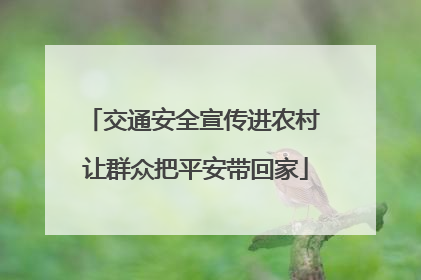 交通安全宣传进农村 让群众把平安带回家