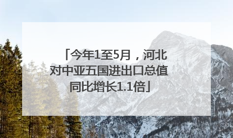 今年1至5月，河北对中亚五国进出口总值同比增长1.1倍
