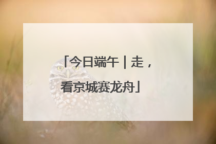 今日端午｜走，看京城赛龙舟