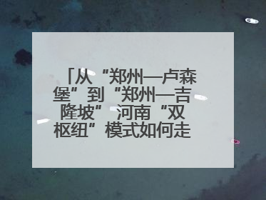 从“郑州—卢森堡”到“郑州—吉隆坡” 河南“双枢纽”模式如何走向全球