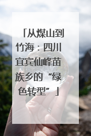 从煤山到竹海：四川宜宾仙峰苗族乡的“绿色转型”