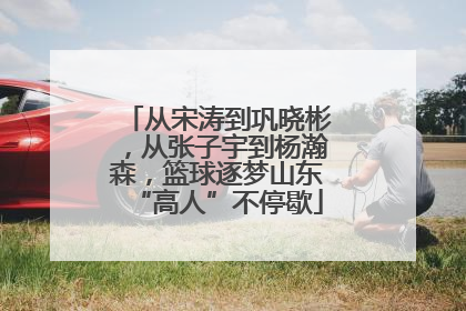 从宋涛到巩晓彬，从张子宇到杨瀚森，篮球逐梦山东“高人”不停歇