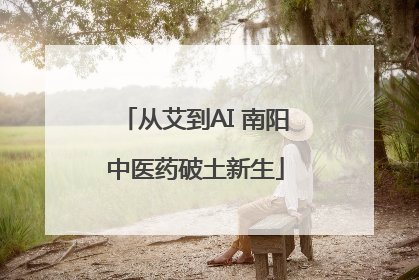 从艾到AI 南阳中医药破土新生