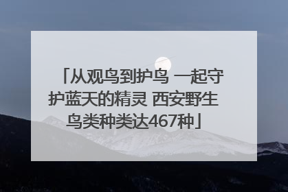 从观鸟到护鸟 一起守护蓝天的精灵 西安野生鸟类种类达467种