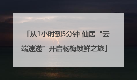 从1小时到5分钟 仙居“云端速递”开启杨梅锁鲜之旅