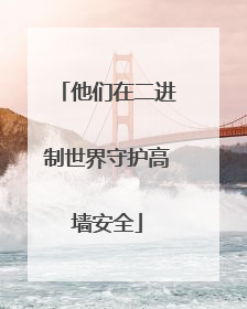 他们在二进制世界守护高墙安全