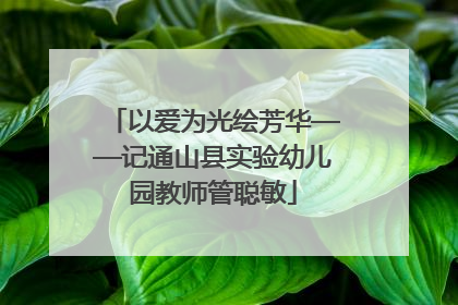 以爱为光绘芳华——记通山县实验幼儿园教师管聪敏
