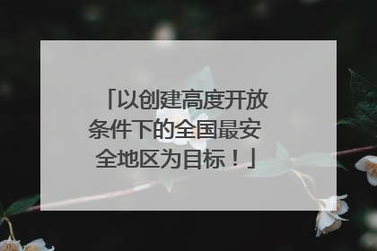 以创建高度开放条件下的全国最安全地区为目标！