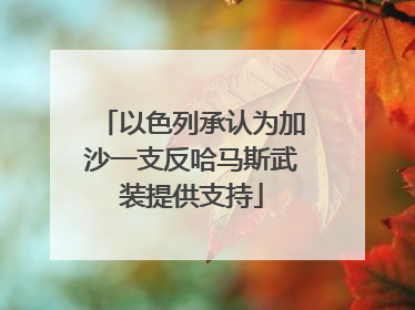 以色列承认为加沙一支反哈马斯武装提供支持