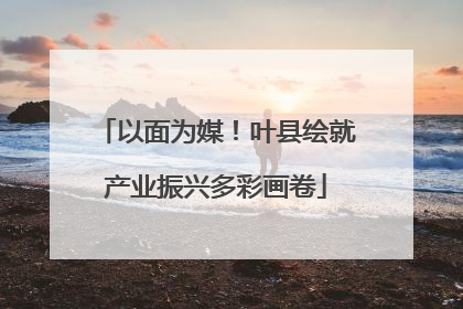 以面为媒！叶县绘就产业振兴多彩画卷