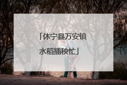 休宁县万安镇水稻插秧忙