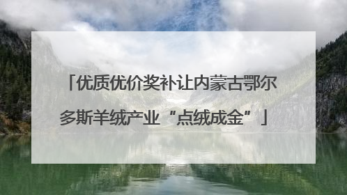 优质优价奖补让内蒙古鄂尔多斯羊绒产业“点绒成金”