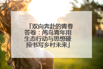双向奔赴的青春答卷：鸬鸟青年用生态行动与思想碰撞书写乡村未来