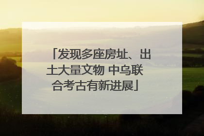 发现多座房址、出土大量文物 中乌联合考古有新进展