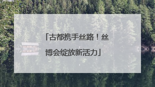 古都携手丝路！丝博会绽放新活力