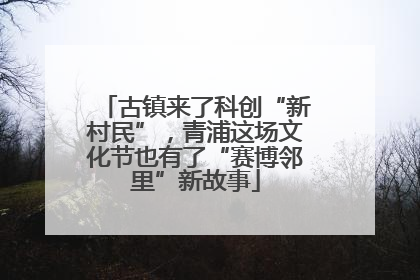 古镇来了科创“新村民”，青浦这场文化节也有了“赛博邻里”新故事