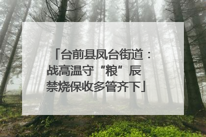 台前县凤台街道：战高温守“粮”辰 禁烧保收多管齐下