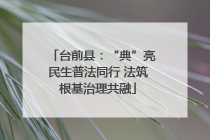 台前县：“典”亮民生普法同行 法筑根基治理共融