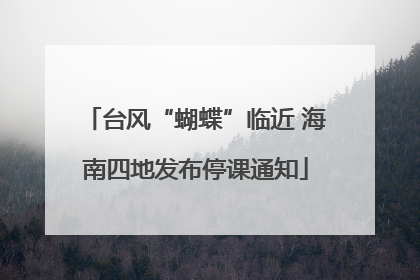 台风“蝴蝶”临近 海南四地发布停课通知
