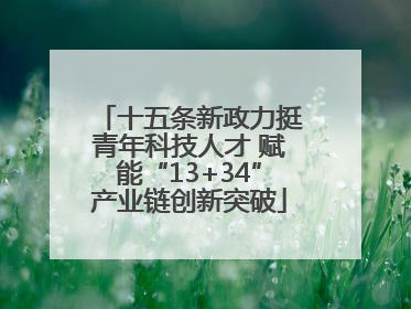 十五条新政力挺青年科技人才 赋能“13+34”产业链创新突破